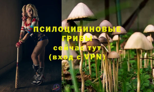гашиш Баксан