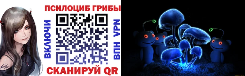 продажа наркотиков  Зверево  Галлюциногенные грибы Psilocybe 
